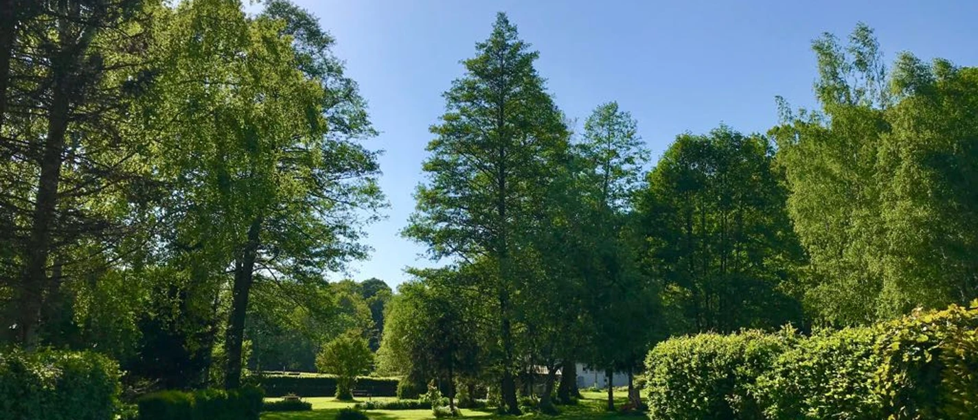 Campingplatz am Waldbad (© Familie Welz)