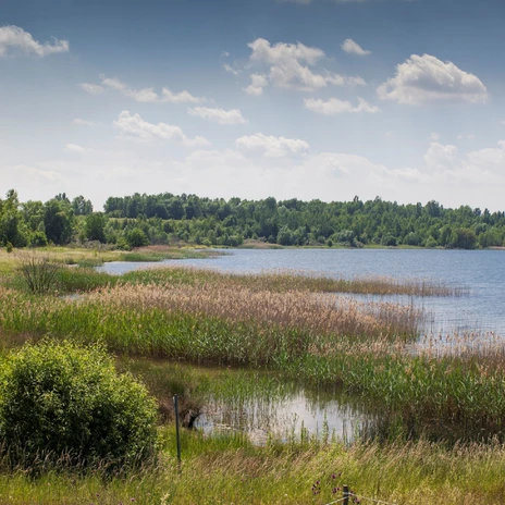 Sur la rive sud du lac Cospudener See