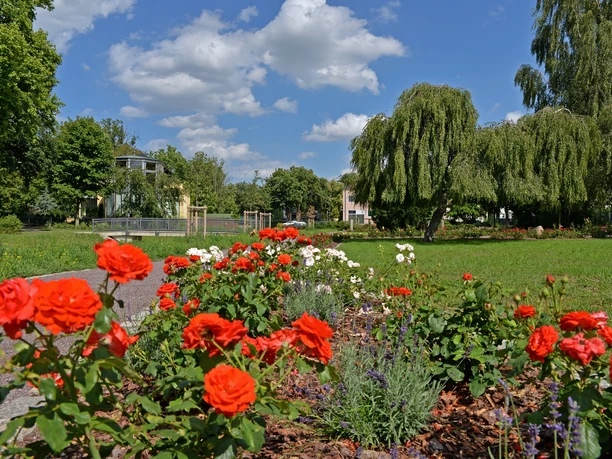 Jardin de roses Delitzsch