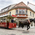 Döbeln horse tramway – Visiting the Leipzig region with kids Eine Pferdestraßenbahn fährt eine Familie durch die historische Döbelner Innenstadt, Familie, Ausflug, KinderKoněspřežná tramvaj veze rodinu historickým centrem Döbelnu, rodina, výlet, dětiA family rides on a horse-drawn tram through the historic city centre of Döbeln, family, excursion, kidsUn tram hippomobile conduit une famille à travers le centre historique de la ville de Döbeln, famille, excursion, enfantsRodzina podczas przejażdżki tramwajem konnym po terenie historycznego centrum Döbeln, rodzina, wycieczka, dzieci