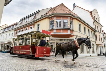 Döbelner Pferdebahn - Leipzig Region mit Kindern Eine Pferdestraßenbahn fährt eine Familie durch die historische Döbelner Innenstadt, Familie, Ausflug, Kinder