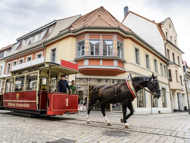 Tramwaj konny wiezie rodzinę przez historyczne centrum Döbeln, Rodzina, Wycieczka, Dzieci
