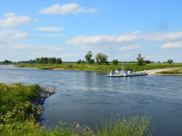 Piste cyclable de l'Elbe à Dommitzsch