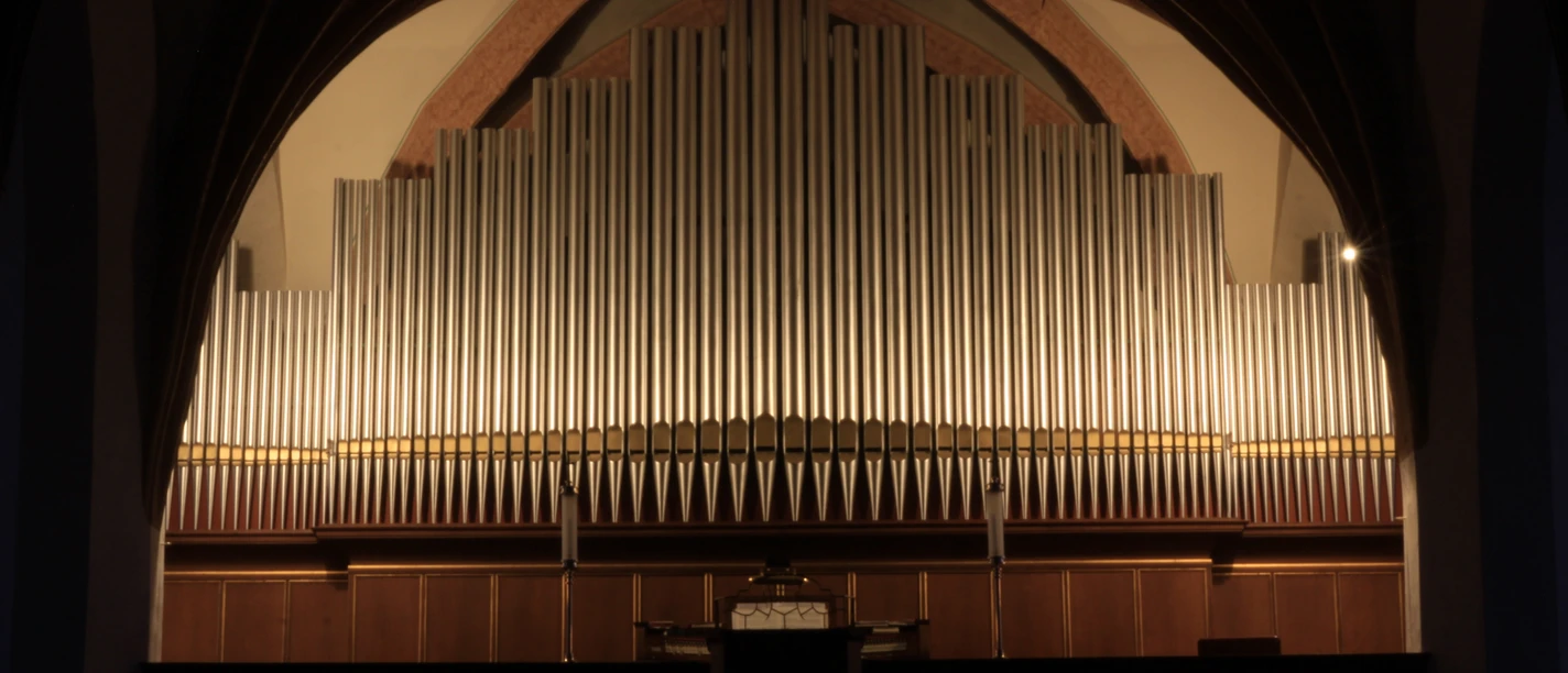 Eule Orgel in der Nicolaikirche ©M. Häntzschel