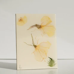 Flora Metaphorica Blütenfliesen - Regionální produkty z Lipska