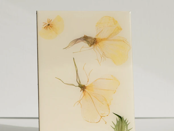 Flora Metaphorica Blütenfliesen - Regionale Produkte aus Leipzig