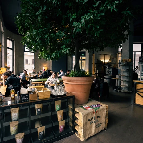 Widok na dużą kawiarnię Franz Morish, skupiający się na części wypoczynkowej, umeblowaniu, roślinach i atmosferze restauracji.