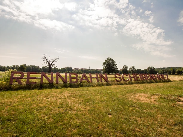 Racecourse Scheibenholz lettering