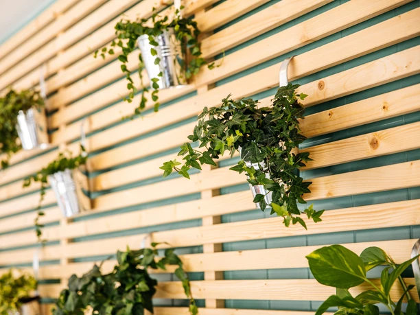 Gastgeber Leipzig - Gastronomie in Leipzig Foto der Hängepflanzen-Dekoration im Gastgeber-Restaurant Leipzig; Holzpanelen, modern, gastronomie, restaurant