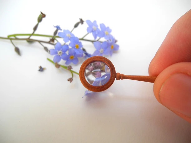Holz Liebe Miniaturblumen - Regionale Produkte aus Leipzig