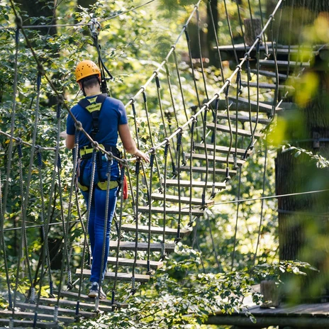 Kletterwald; Brücke