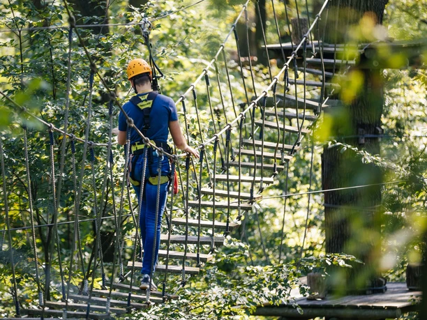 Kletterwald; Brücke