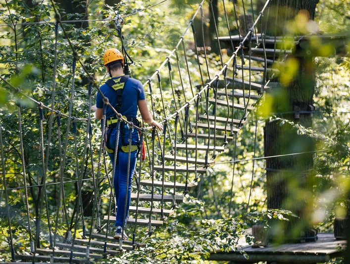 Kletterwald; Brücke