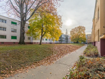 Krochsiedlung im Herbst - Architektur in Leipzig