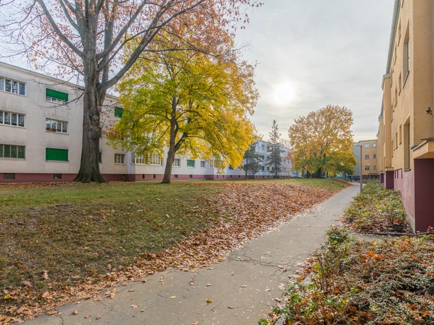 Krochsiedlung na podzim - Architektura v Lipsku