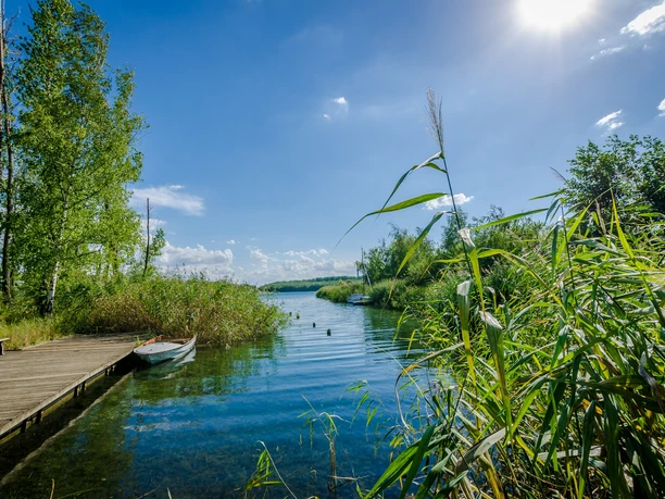 Vue sur le lac Kulkwitzer See à Leipzig par une claire journée d'été, bordé d'une végétation verte et d'eaux calmes sous un soleil radieux.