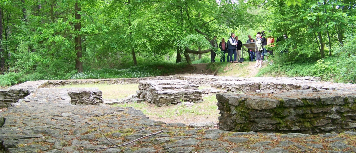 Cultural Landscape Museum in the Wermsdorf Forest