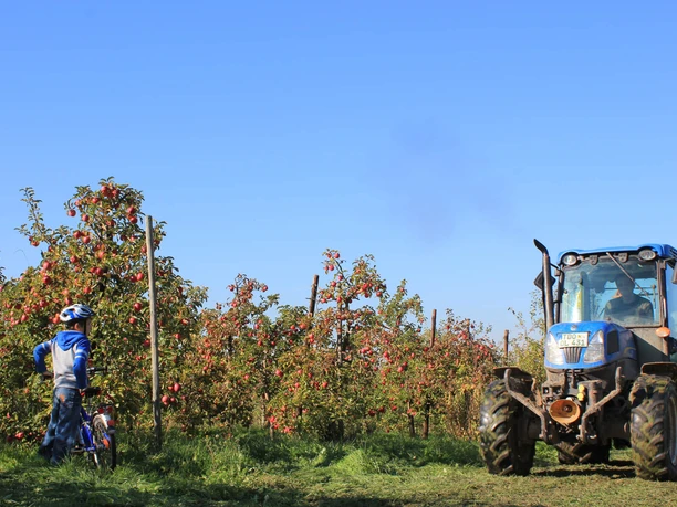 Fruit country route near Leisnig