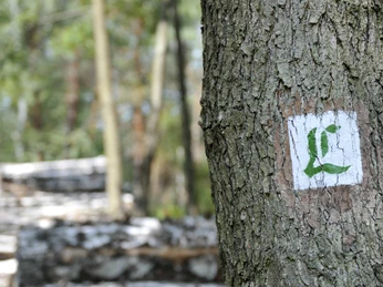 Lutherweg bei Löbnitz