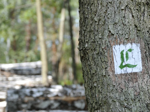 Lutherweg bei Löbnitz