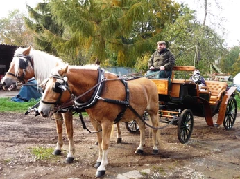 Kremserfahrten Winterling