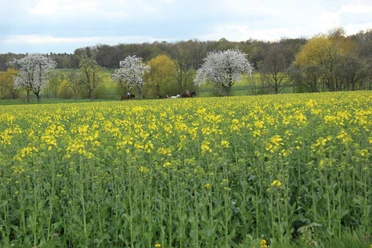 Landschaft Lossatal
