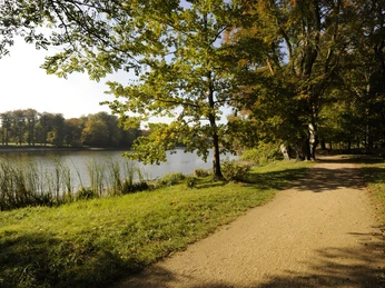 Kiesweg im Schlosspark Machern - Kultur in der Region Leipzig Ein Kiesweg schlängelt sich durch den Schlosspark Machern in der Nähe von Leipzig, gesäumt von Bäumen.