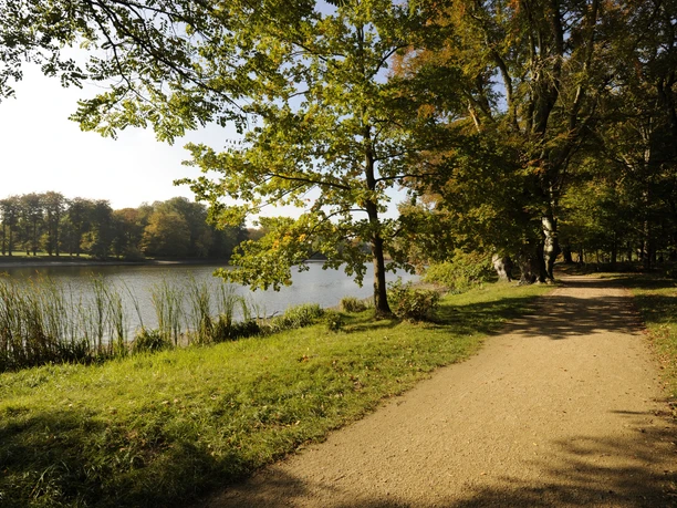 Kiesweg im Schlosspark Machern - Kultur in der Region Leipzig Ein Kiesweg schlängelt sich durch den Schlosspark Machern in der Nähe von Leipzig, gesäumt von Bäumen.