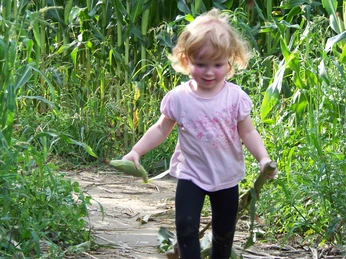 Maisterlabyrinth Benndorf © Landwirtschaftsbetrieb Tobias Karte