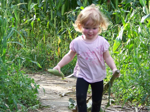 Maisterlabyrinth Benndorf © Landwirtschaftsbetrieb Tobias Karte