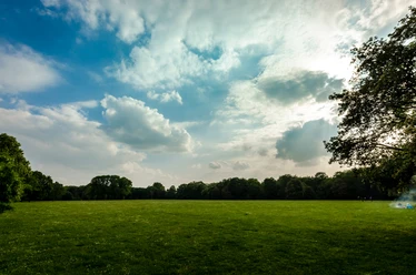 Mariannenpark, Wiese
