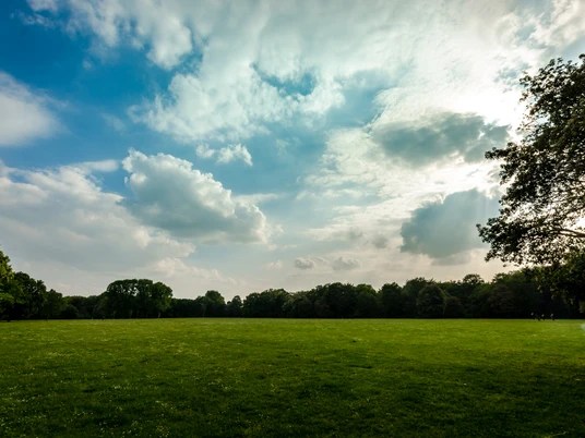 Mariannenpark, Wiese