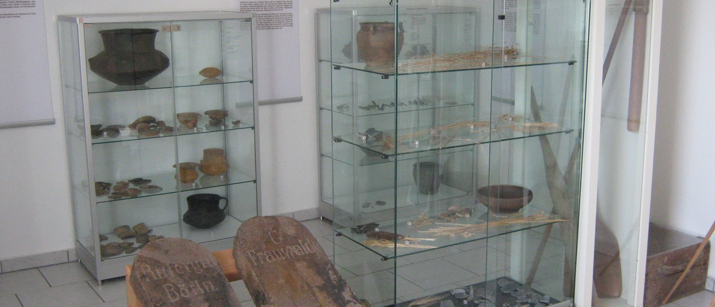 Muzeum Prehistorii i Wczesnej Historii
