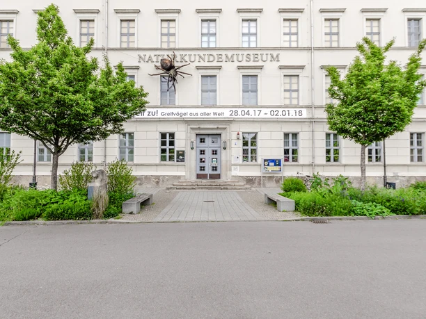 Eingang Naturkundemuseum - Museen in Leipzig Blick auf den Haupteingang zum Naturkundemuseum Leipzig dessen Ausstellung besonders interessant für Kinder und Ausflüge mit der Familie ist, Kultureinrichtung