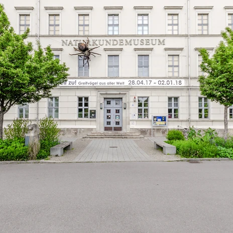 Widok na główne wejście do Muzeum Historii Naturalnej w Lipsku, którego wystawa jest szczególnie interesująca dla dzieci i rodzinnych wycieczek, instytucja kultury