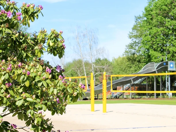 Po prawej stronie, za kwitnącym krzewem, wyróżnia się boisko do siatkówki plażowej NaturSportBad z obozem w Bad Düben, w tle widać szeroką zjeżdżalnię falową, wypoczynek, zabawę