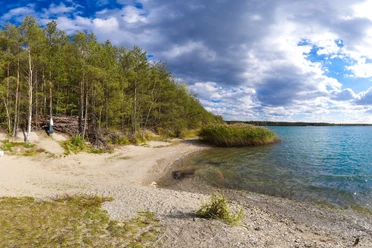 Der Grillensee in Naunhof begeistert mit Natur pur Ein idyllischer See mit sandiger Uferböschung, umgeben von grünen Bäumen und Schilf, unter blauem Himmel.