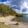 Der Grillensee in Naunhof begeistert mit Natur pur Ein idyllischer See mit sandiger Uferböschung, umgeben von grünen Bäumen und Schilf, unter blauem Himmel.
