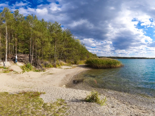 Der Grillensee in Naunhof begeistert mit Natur pur Ein idyllischer See mit sandiger Uferböschung, umgeben von grünen Bäumen und Schilf, unter blauem Himmel.