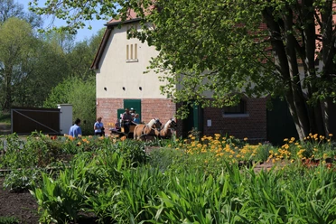 Park Canitz bei Thallwitz