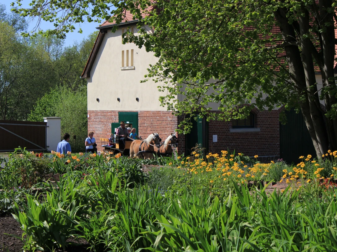 Park Canitz bei Thallwitz