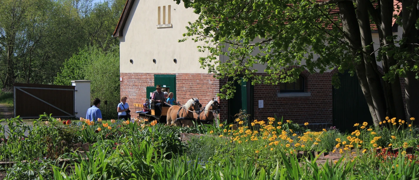 Park Canitz bei Thallwitz