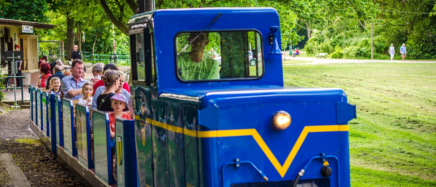 Widok na kolejkę Royal Blue Park, która biegnie przez park pełen pasażerów; lato, rodzina, wycieczka