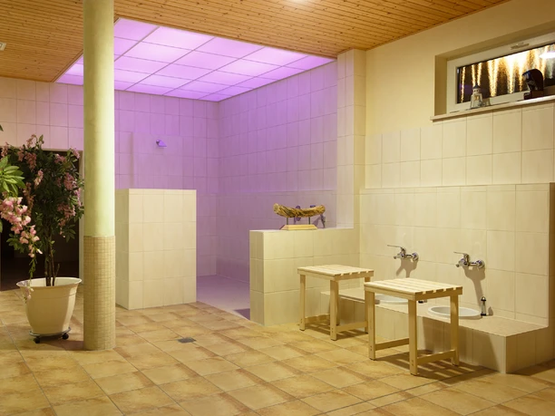 Shower with purple lighting and footbaths at Haus Seestern in Seepark Auenhain in the Leipzig region, wellness, spa