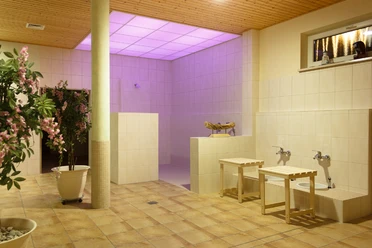 Sprcha s fialovým osvětlením a lázně pro nohy v Haus Seestern v Seeparku Auenhain v Lipsku, wellness, lázně