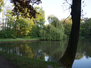 Schlossteich in Rötha