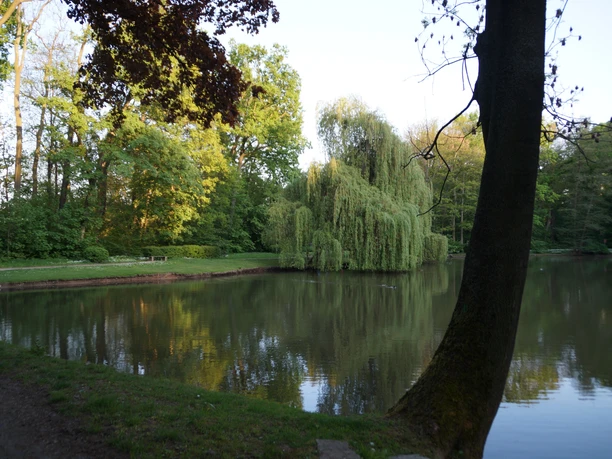 Schlossteich in Rötha