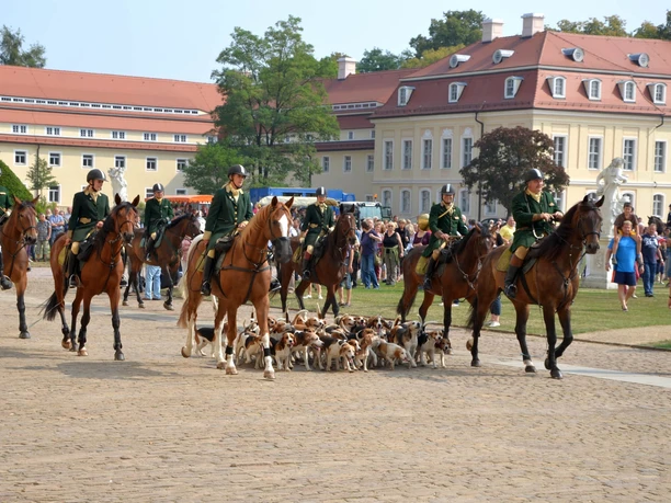 Na nádvoří zámku Hubertusburg jezdí lovci na koních, obklopeni loveckými psy a četnými návštěvníky a diváky.