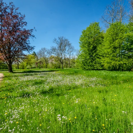 Park Zamkowy Lützschena, otwarta przestrzeń