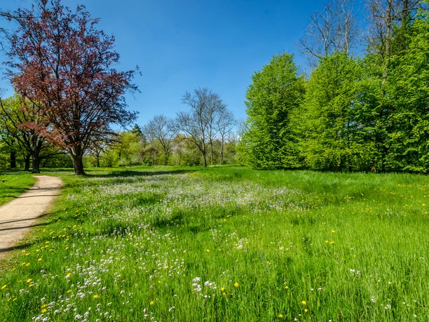 Park Zamkowy Lützschena, otwarta przestrzeń